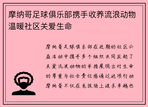 摩纳哥足球俱乐部携手收养流浪动物温暖社区关爱生命